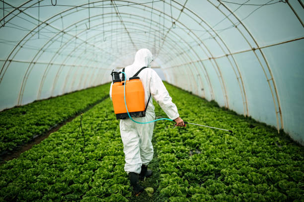 Best Pest Inspection Near Me  in Gary, IN