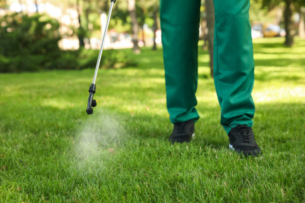 Best Pest Control Near Me in Gary, IN