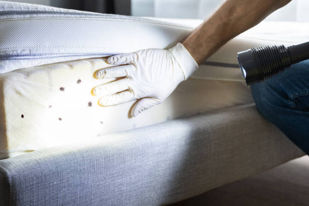 Best Wasp Removal Services  in Gary, IN