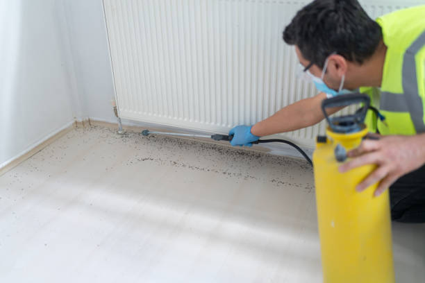 Best Termite Control Services  in Gary, IN