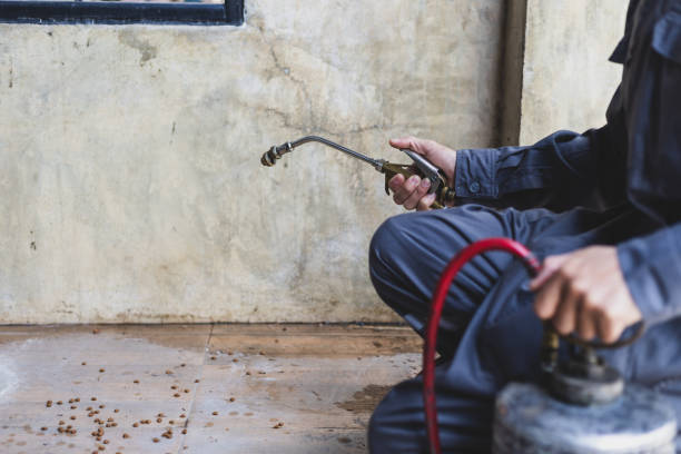Best Pest Control Cost  in Gary, IN