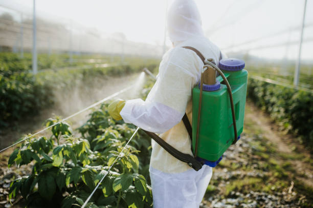 Best Flea Control Services  in Gary, IN